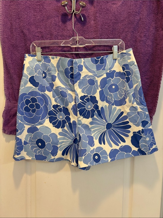 Zara Pants - NWT Zara Blue and White Floral High-Waist Shorts